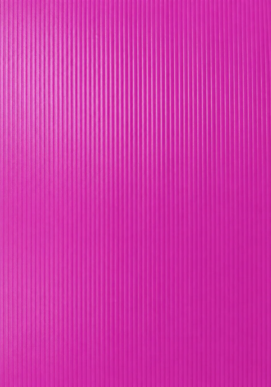 Fucsia 1840