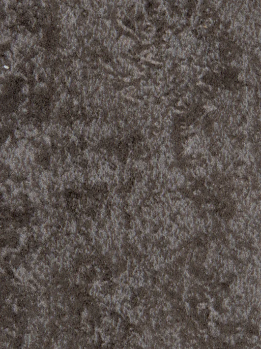 Gobi 1931