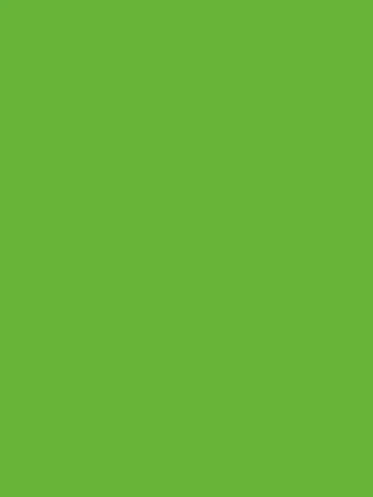 Verde Erbetta 460