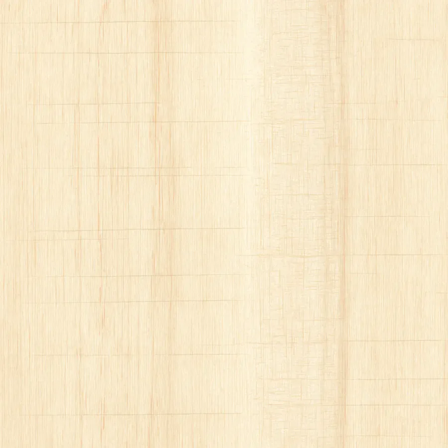 Maple Terranova 5017